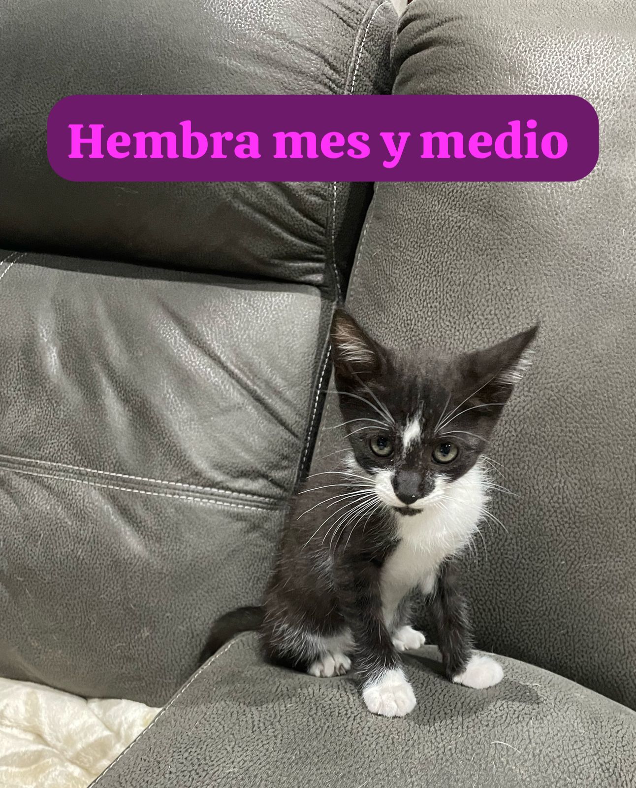 Imagen de Nombre no disponible