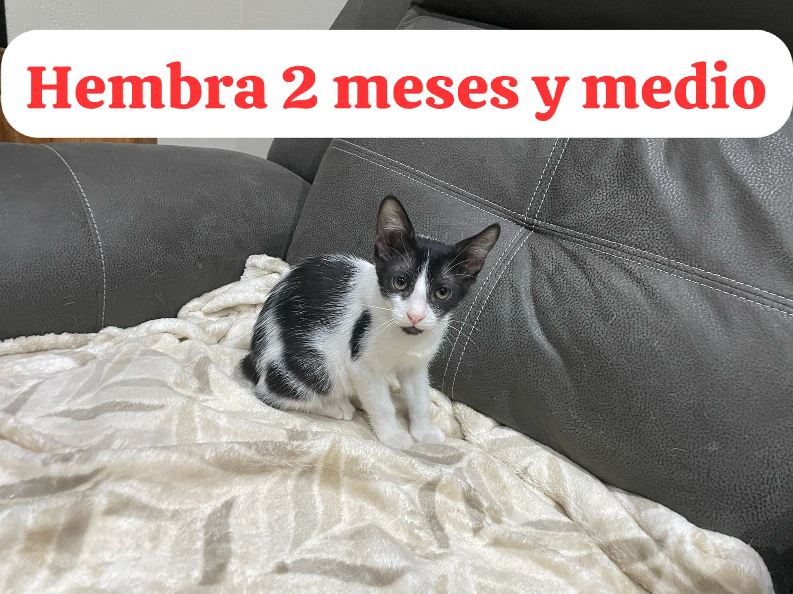 Imagen de Nombre no disponible